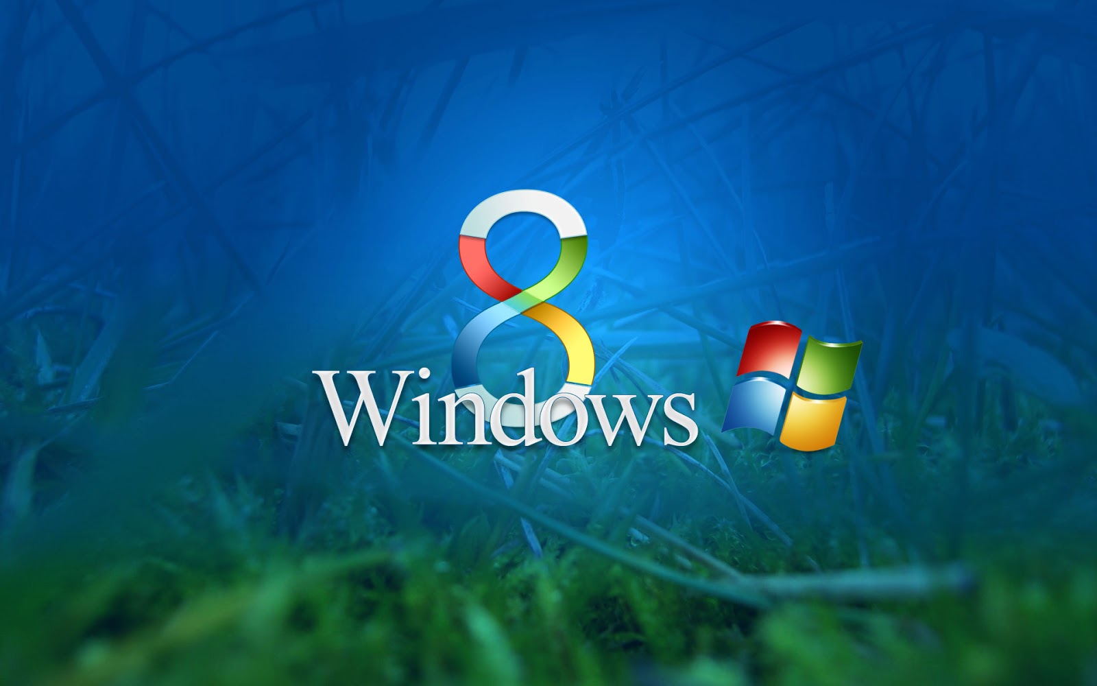 Cum dezactivezi logarea cu parola in Windows 8!